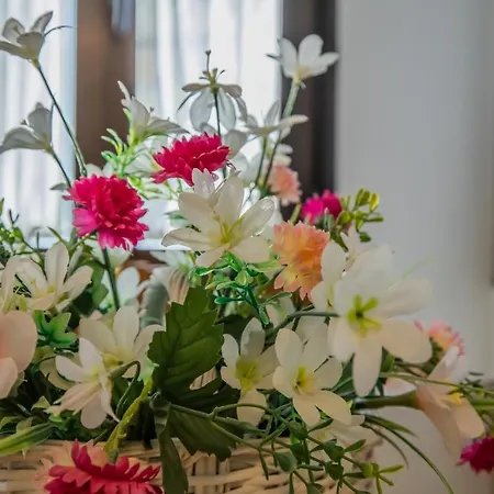 Fleming, Cómodo Junto Mezquita Y Judería * Córdoba